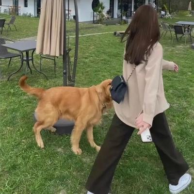 爱在圣诞空投时